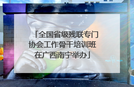 全国省级残联专门协会工作骨干培训班在广西南宁举办