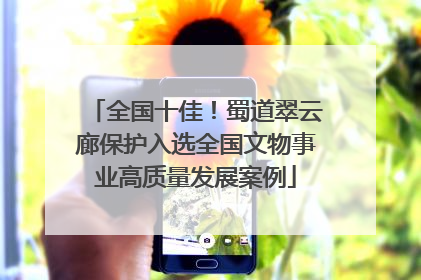 全国十佳！蜀道翠云廊保护入选全国文物事业高质量发展案例