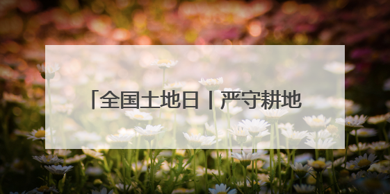 全国土地日丨严守耕地红线！田长这样说→
