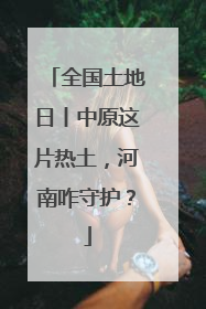 全国土地日丨中原这片热土，河南咋守护？