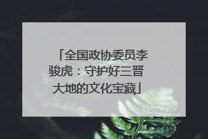 全国政协委员李骏虎：守护好三晋大地的文化宝藏