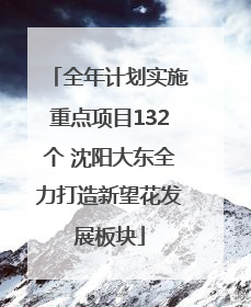 全年计划实施重点项目132个 沈阳大东全力打造新望花发展板块