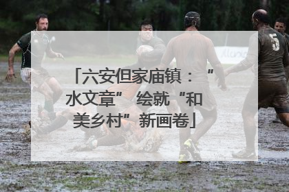 六安但家庙镇：“水文章” 绘就“和美乡村”新画卷