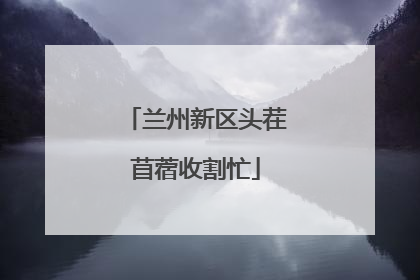 兰州新区头茬苜蓿收割忙