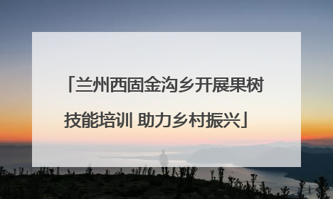 兰州西固金沟乡开展果树技能培训 助力乡村振兴