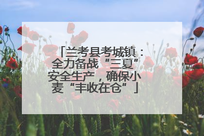兰考县考城镇：全力备战“三夏”安全生产，确保小麦“丰收在仓”