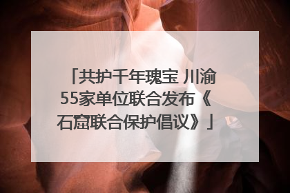 共护千年瑰宝 川渝55家单位联合发布《石窟联合保护倡议》