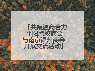 共聚温商合力 平阳腾蛟商会与南京温州商会开展交流活动