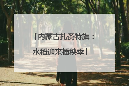 内蒙古扎赉特旗：水稻迎来插秧季