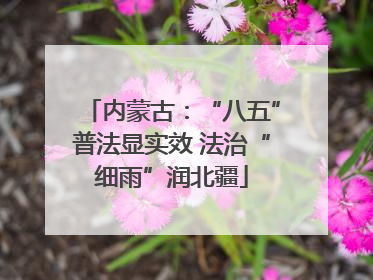 内蒙古：“八五”普法显实效 法治“细雨”润北疆