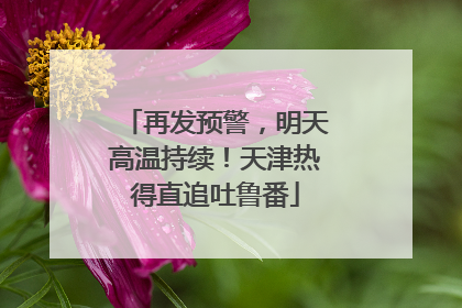 再发预警，明天高温持续！天津热得直追吐鲁番