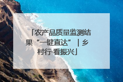 农产品质量监测结果“一键直达”｜乡村行·看振兴
