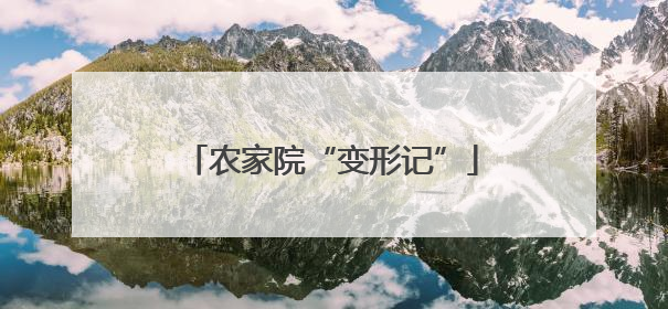 农家院“变形记”
