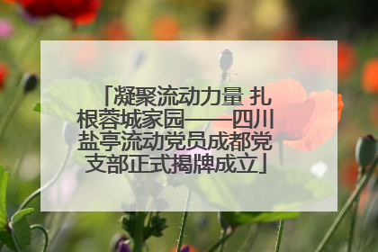 凝聚流动力量 扎根蓉城家园——四川盐亭流动党员成都党支部正式揭牌成立
