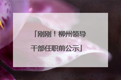 刚刚！柳州领导干部任职前公示