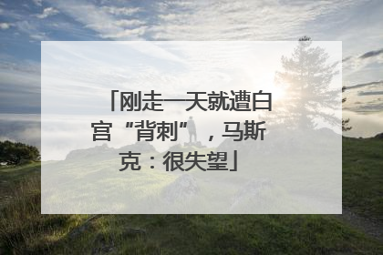 刚走一天就遭白宫“背刺”，马斯克：很失望