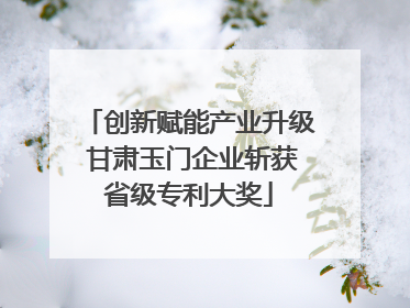 创新赋能产业升级 甘肃玉门企业斩获省级专利大奖
