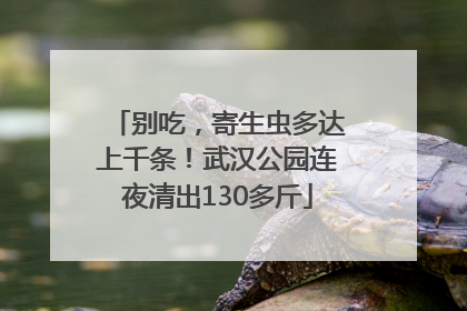 别吃，寄生虫多达上千条！武汉公园连夜清出130多斤