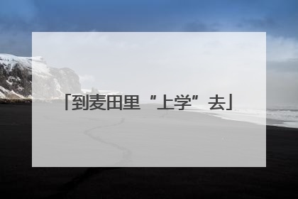 到麦田里“上学”去