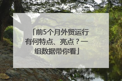 前5个月外贸运行有何特点、亮点？一组数据带你看