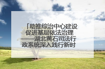 助推综治中心建设 促进基层依法治理——湖北黄石司法行政系统深入践行新时代枫桥经验