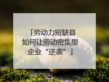 劳动力短缺县 如何让劳动密集型企业“逆袭”