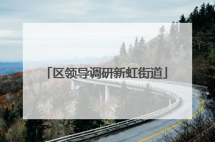区领导调研新虹街道