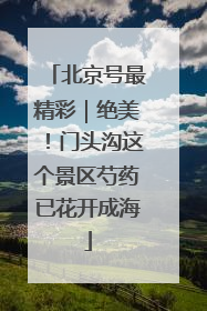 北京号最精彩｜绝美！门头沟这个景区芍药已花开成海