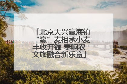 北京大兴瀛海镇“瀛”麦相承小麦丰收开镰 奏响农文旅融合新乐章