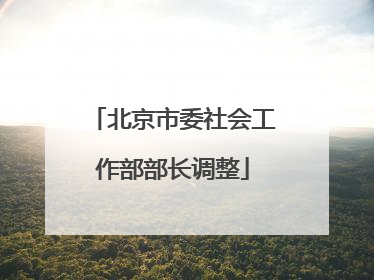 北京市委社会工作部部长调整
