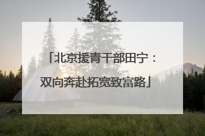 北京援青干部田宁：双向奔赴拓宽致富路