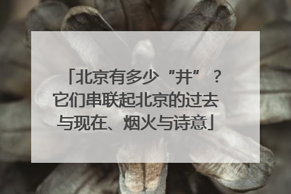 北京有多少“井”？它们串联起北京的过去与现在、烟火与诗意