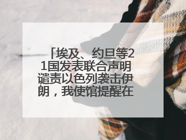 埃及、约旦等21国发表联合声明谴责以色列袭击伊朗，我使馆提醒在以中国公民尽快陆路离境