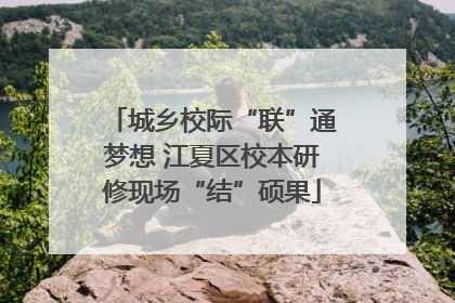 城乡校际“联”通梦想 江夏区校本研修现场“结”硕果