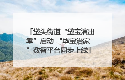 垡头街道“垡宝演出季”启动 “垡宝治家”数智平台同步上线