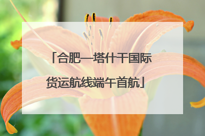 合肥—塔什干国际货运航线端午首航