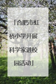 合肥市虹桥小学开展科学家进校园活动