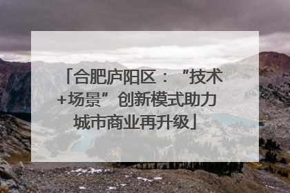 合肥庐阳区：“技术+场景”创新模式助力城市商业再升级