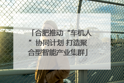 合肥推动“车机人”协同计划 打造聚合型智能产业集群