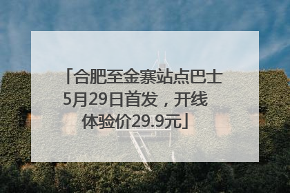 合肥至金寨站点巴士5月29日首发，开线体验价29.9元
