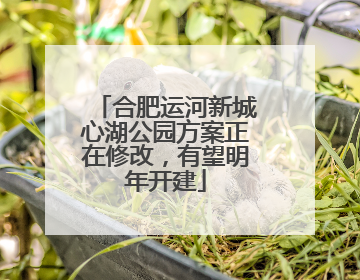 合肥运河新城心湖公园方案正在修改，有望明年开建