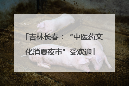 吉林长春：“中医药文化消夏夜市”受欢迎