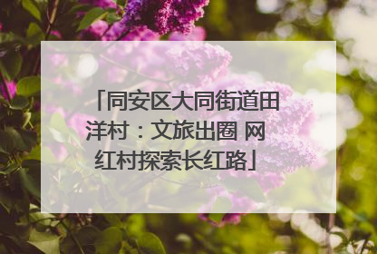 同安区大同街道田洋村：文旅出圈 网红村探索长红路