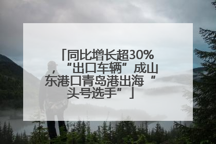 同比增长超30%，“出口车辆”成山东港口青岛港出海“头号选手”