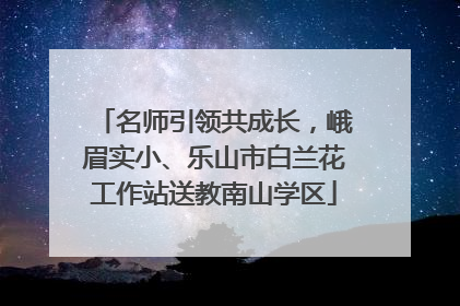 名师引领共成长，峨眉实小、乐山市白兰花工作站送教南山学区