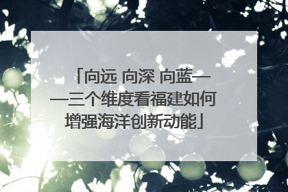向远 向深 向蓝——三个维度看福建如何增强海洋创新动能