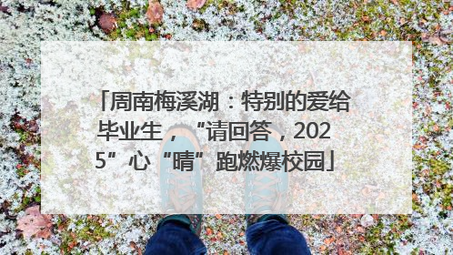 周南梅溪湖：特别的爱给毕业生，“请回答，2025”心“晴”跑燃爆校园
