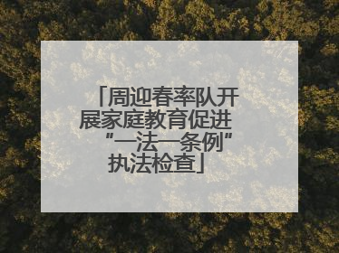 周迎春率队开展家庭教育促进“一法一条例”执法检查