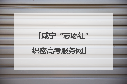 咸宁“志愿红”织密高考服务网