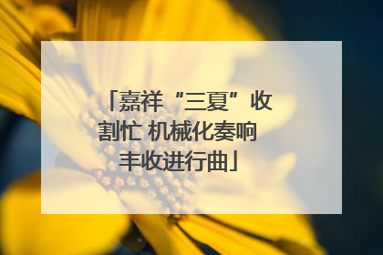 嘉祥“三夏”收割忙 机械化奏响丰收进行曲